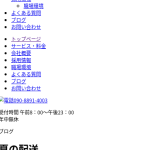 千葉県船橋市の軽貨物事業者「合同会社Bizful」さんの「biz-ful.com」公式ホームページを2023年3月2日前後から削除された会社概要ページのgoogleキャッシュ