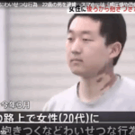 新宿区の路上で20代女性にわいせつな行為新宿区の会社員「杉原翔太」容疑者22歳の男を逮捕、スマホには「威圧感や恐怖を与えられていなかった」などの犯行記録、余罪複数か警視庁(TBS NEWS DIG Powered by JNN)- Yahoo!ニュース