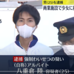 2022年10月27日投稿、当時12歳の少女に背後から抱きつき、体を触るなどしたとして、25歳の浦安市の自称アルバイト、八重倉陸容疑者が逮捕されました・軽貨物ジャーナリスト「モクバブログ」mokubaブログ