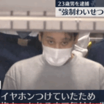 面識の無い女性の後を尾行し、平手打ちをして怪我を負わせる｜荒井直容疑者｜後ろから抱きつき、押し倒して胸を触った上、起き上がろうとした女性に平手打ち・軽貨物ジャーナリスト「モクバブログ」mokubaブログ・非志チャンネル林・F西田･袋小路金造残日録