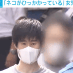 「隙きあらば女子の身体を触ってみたい欲求が湧いてきた」と供述している小学1年生の女児を公園トイレに引き入れわいせつ行為で「内響平」容疑者26歳逮捕・軽貨物ジャーナリスト「モクバブログ」mokubaブログ・非志チャンネル林・F西田・袋小路金造残日禄